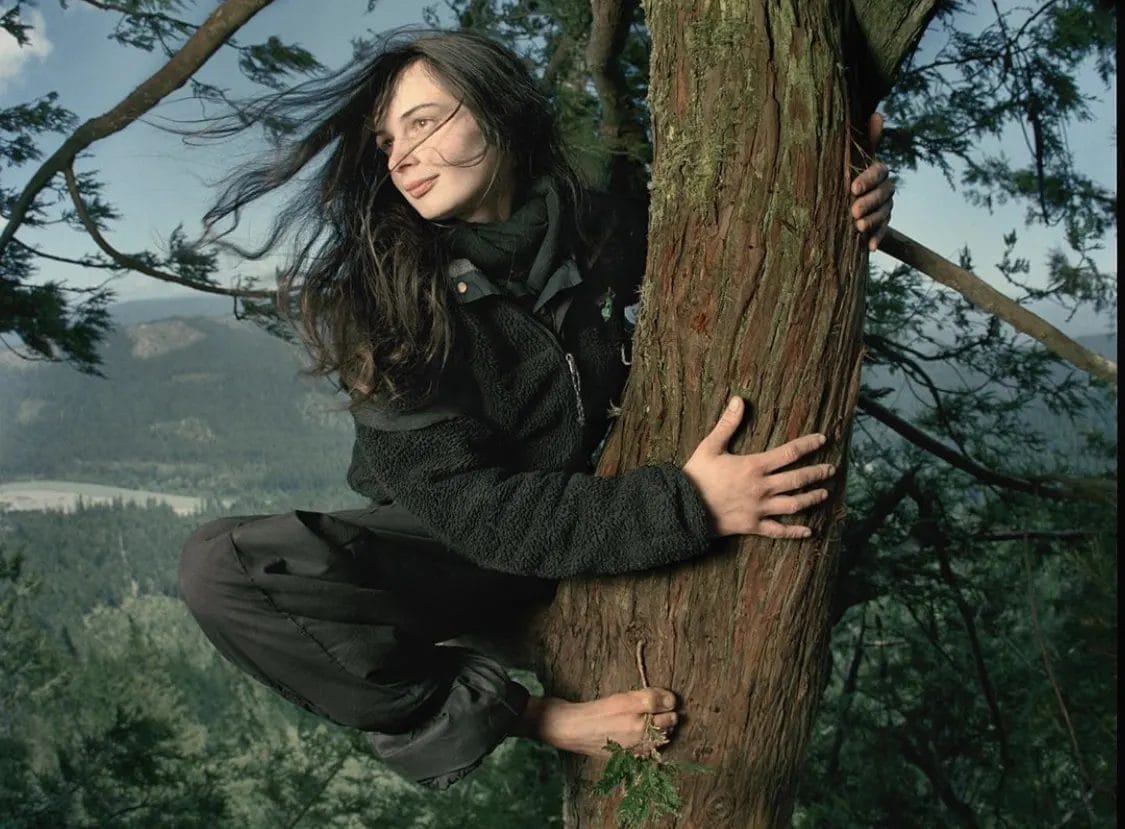 Julia Butterfly Hill: la straordinaria ragazza che ha vissuto 738 giorni su una sequoia