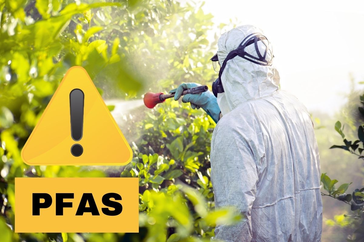 Li usiamo ogni giorno, ma pochi sanno che contengono alti livelli di PFAS: nessuno ce lo rivela! Scopri di più.