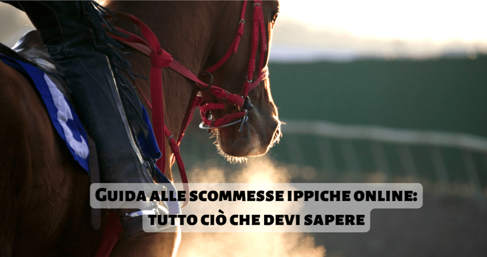 Guida completa alle scommesse ippiche online: scopri tutto quello che devi sapere